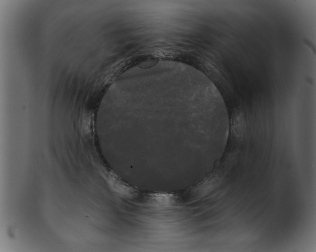 X0000100870233200807181243
