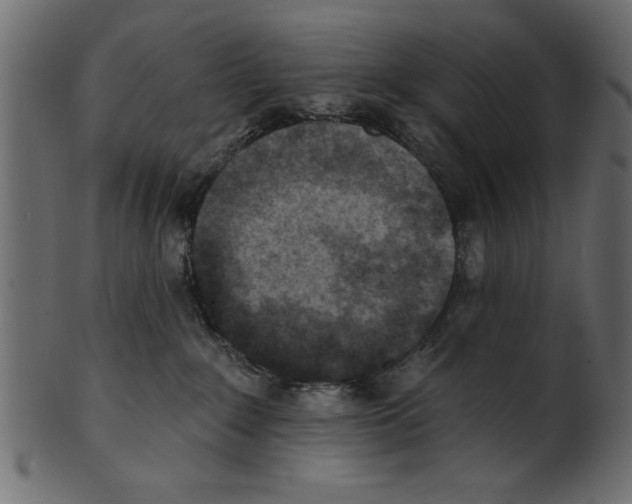 X0000100870235200807181243