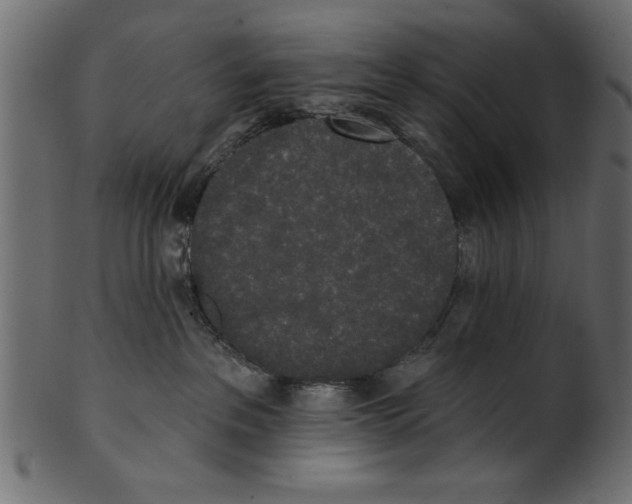 X0000100870237200807181243