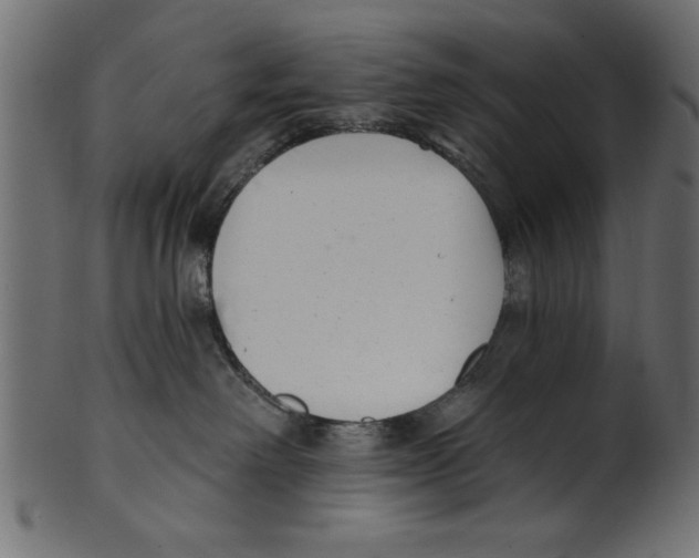 X0000100870238200807181243