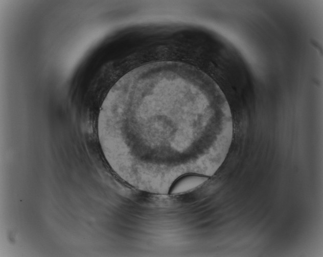 X0000100870239200807181243