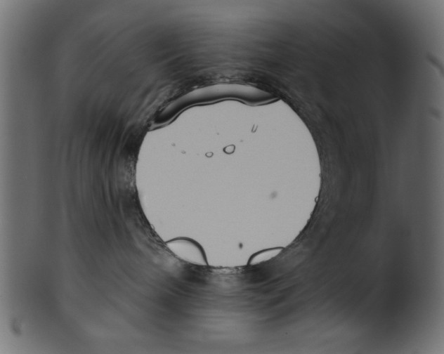 X0000100870240200807181243