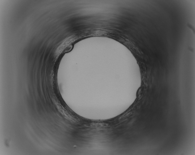 X0000100870242200807181243