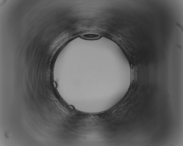 X0000100870243200807181243