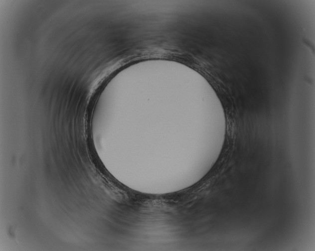 X0000100870244200807181243