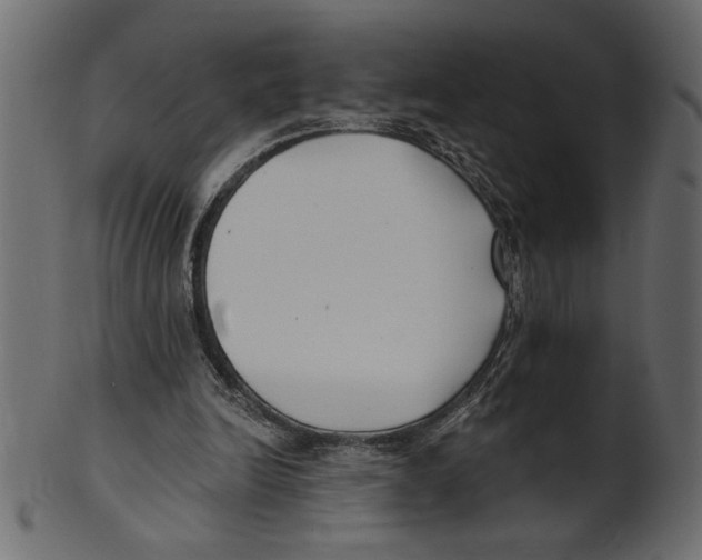 X0000100870246200807181243