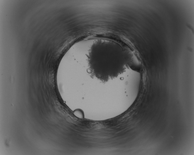X0000100870249200807181243