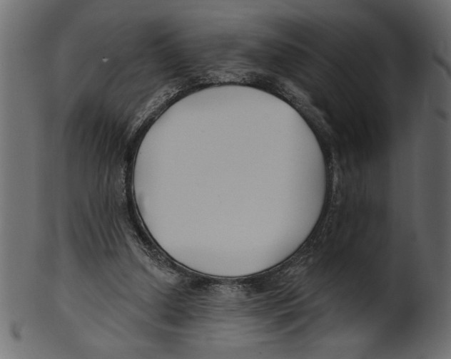 X0000100870250200807181243