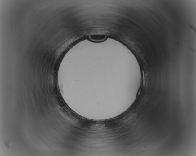 X0000100870252200807181243