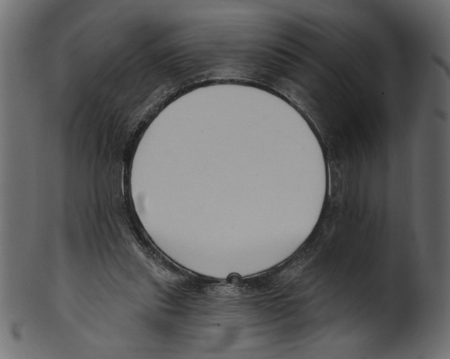 X0000100870253200807181243