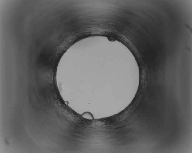 X0000100870257200807181243
