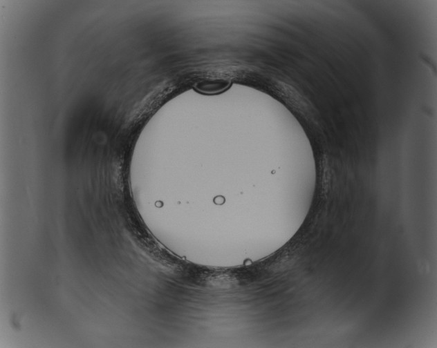 X0000100870258200807181243