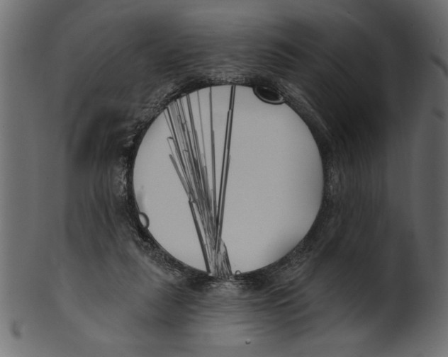 X0000100870259200807181243
