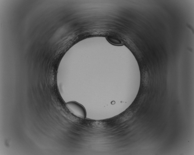 X0000100870261200807181243