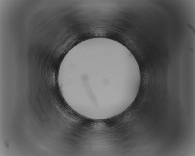 X0000100870262200807181243