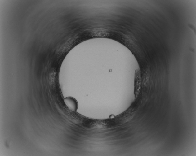 X0000100870263200807181243