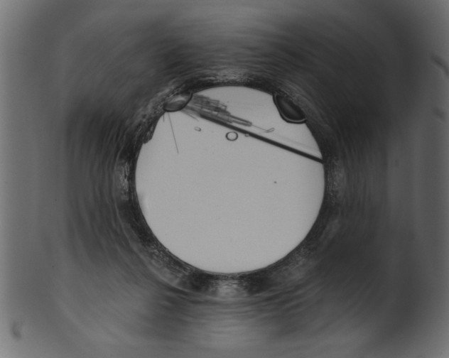 X0000100870264200807181243
