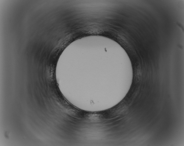 X0000100870268200807181243
