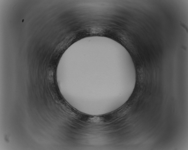 X0000100870269200807181243
