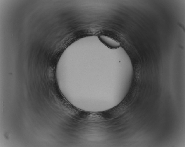 X0000100870270200807181243