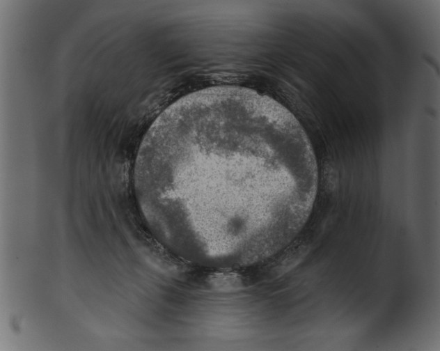 X0000100870271200807181243