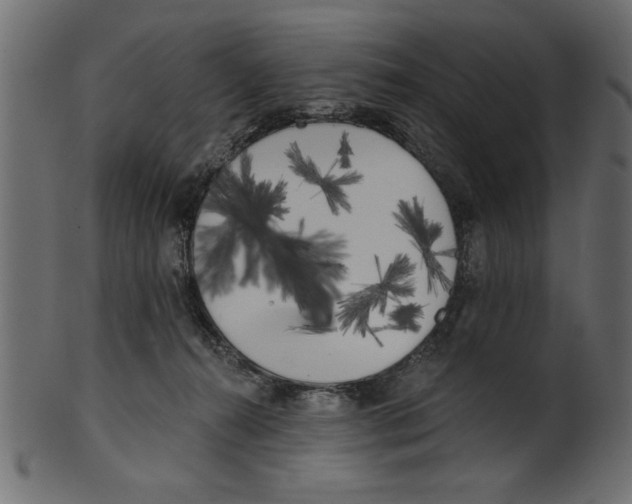 X0000100870272200807181243