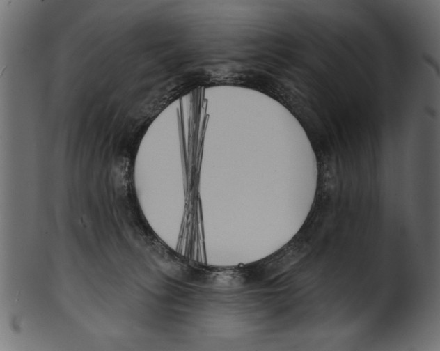 X0000100870275200807181243