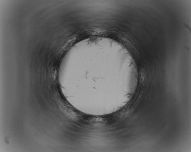 X0000100870276200807181243