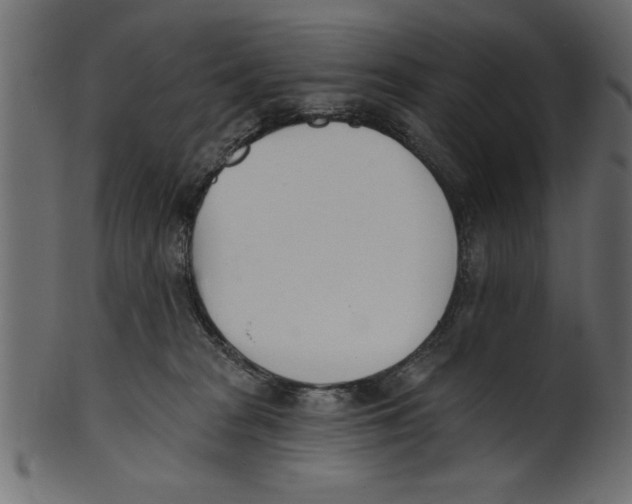X0000100870277200807181243