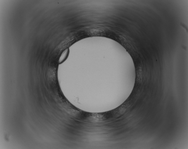 X0000100870278200807181243