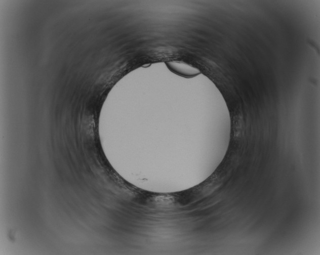 X0000100870279200807181243