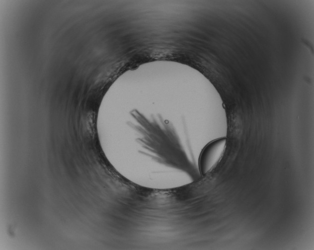X0000100870280200807181243