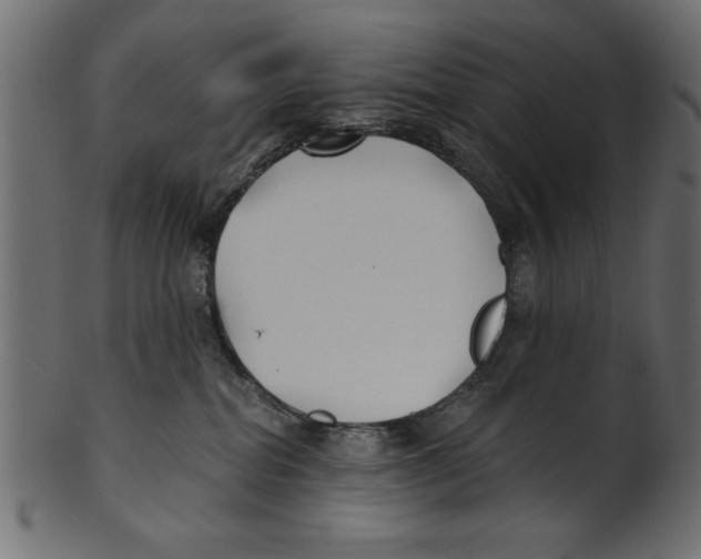X0000100870282200807181243