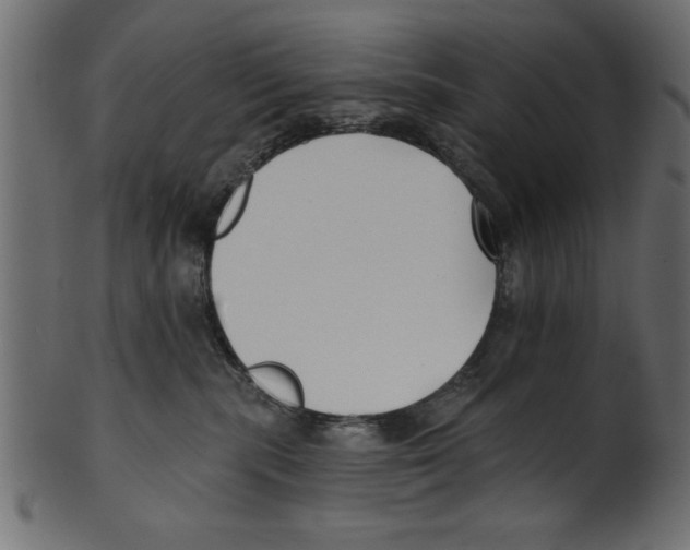 X0000100870283200807181243