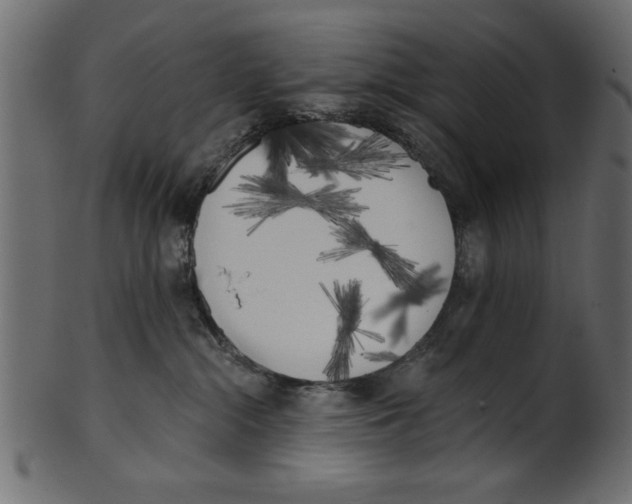 X0000100870284200807181243