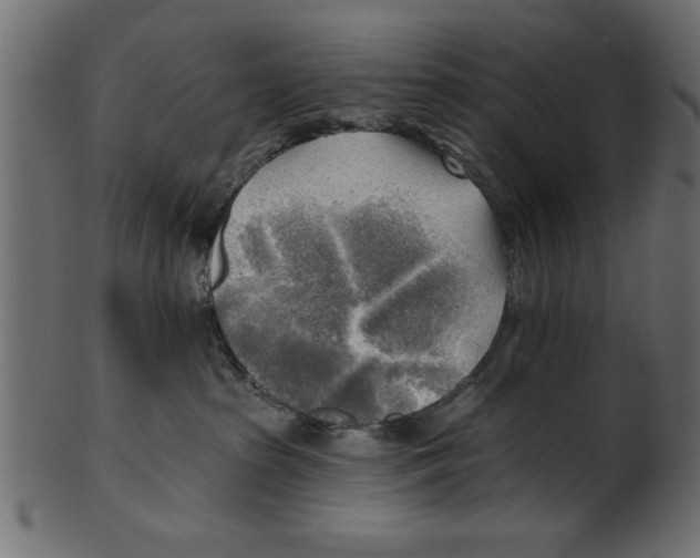X0000100870285200807181243