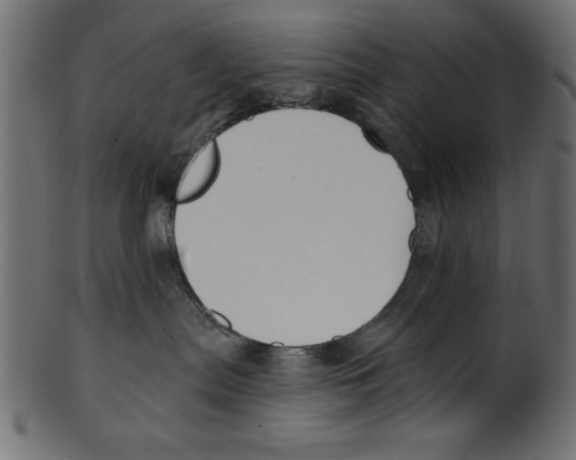 X0000100870287200807181243