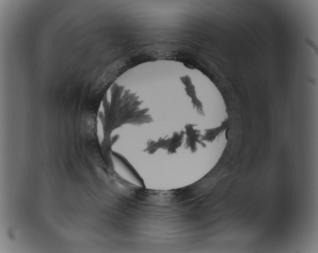 X0000100870288200807181243