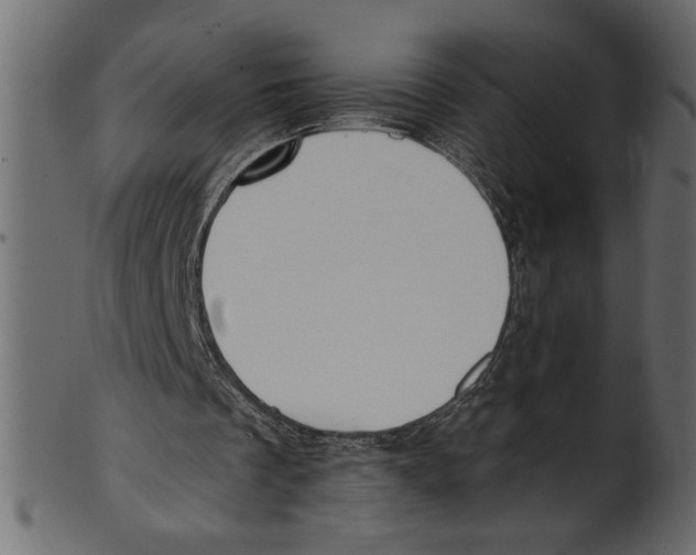 X0000100870289200807181243