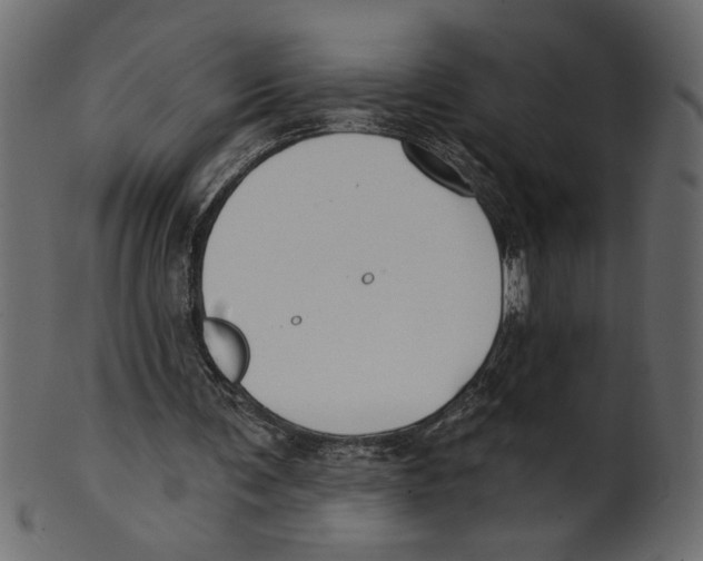X0000100870291200807181243