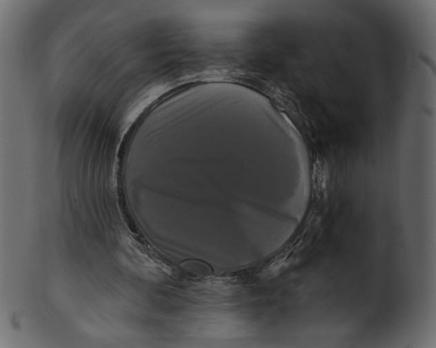 X0000100870292200807181243