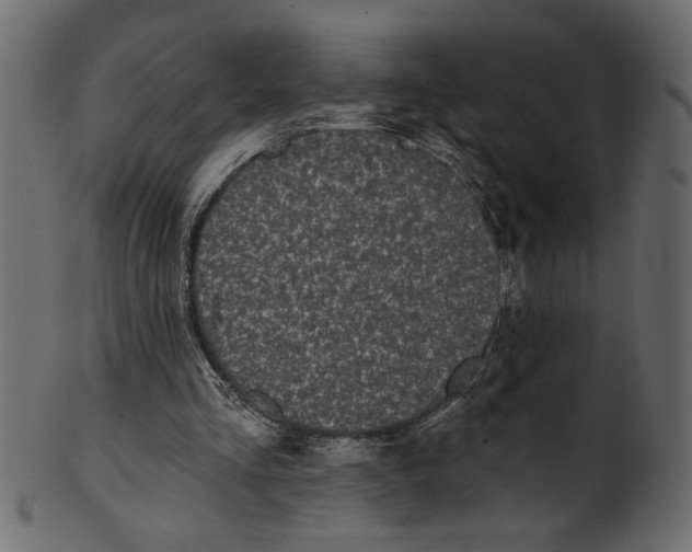 X0000100870293200807181243
