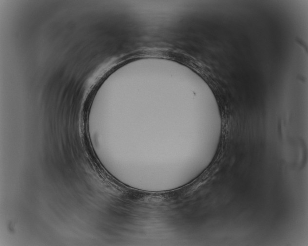 X0000100870294200807181243