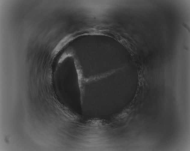 X0000100870295200807181243