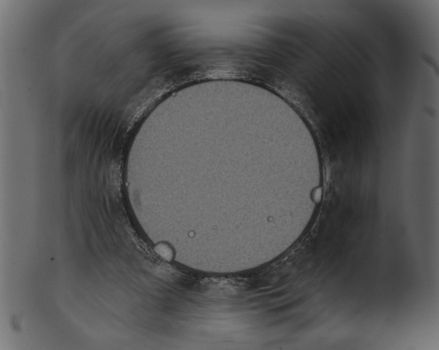 X0000100870297200807181243