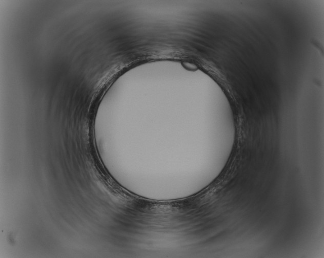 X0000100870298200807181243