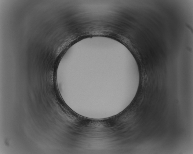 X0000100870299200807181243