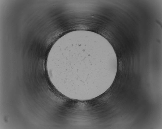 X0000100870302200807181243
