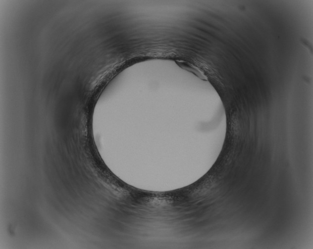 X0000100870303200807181242