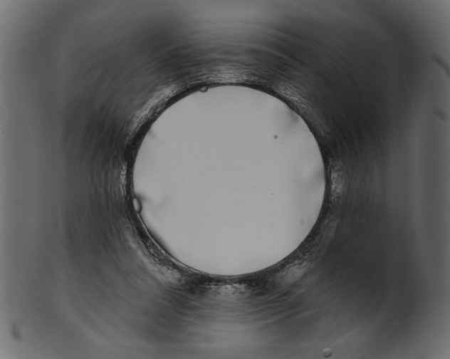 X0000100870304200807181242